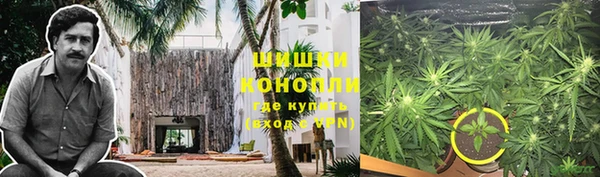 прущая мука Нея