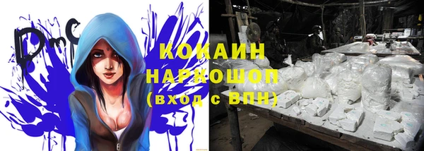 прущая мука Нея