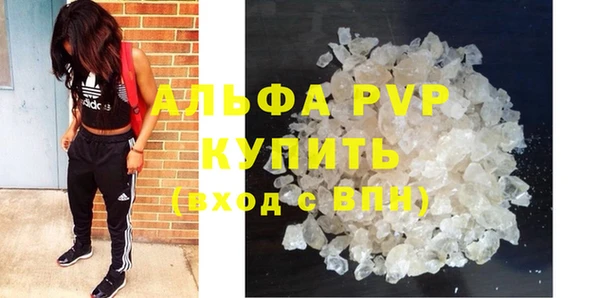 гидропоника Новозыбков