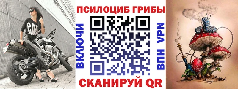Купить закладки  Владимир  Псилоцибиновые грибы Psilocybe 